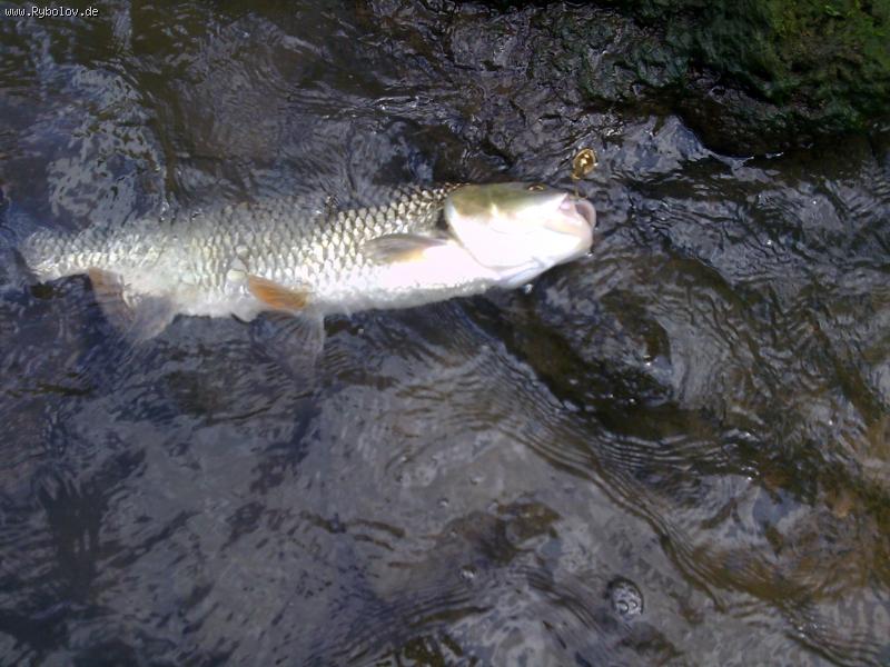 --������� �������... - ������� (����������)