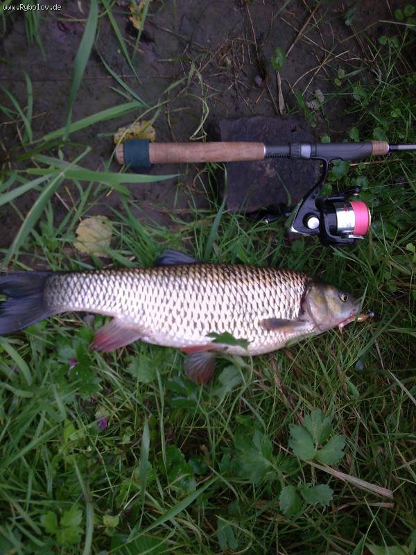 --��������� �� "������". - ������� (����������)