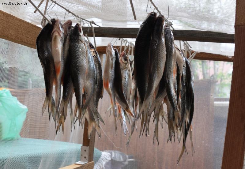 --�������� ������ - ������� (����������)