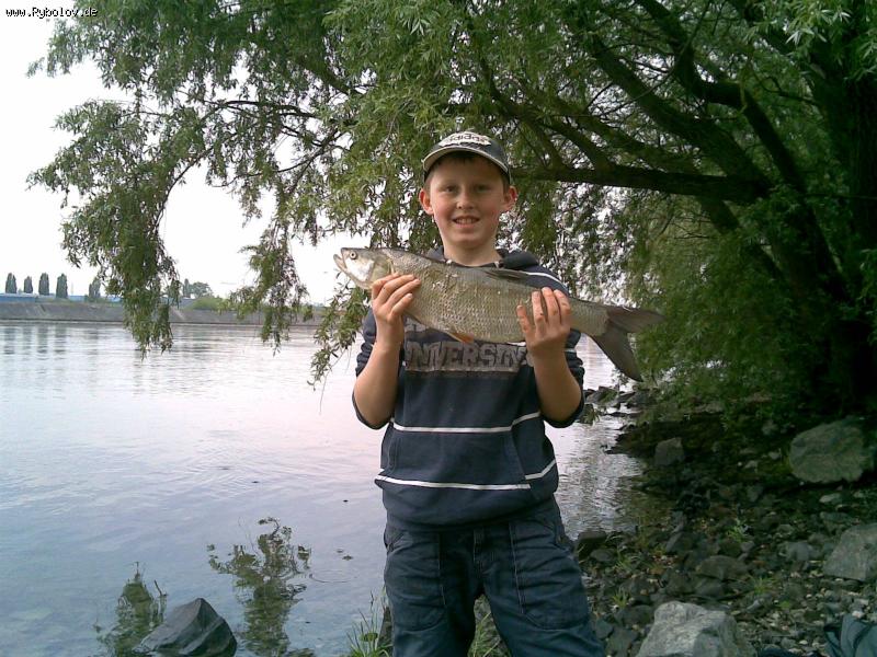 --�������� - ������� (����������)