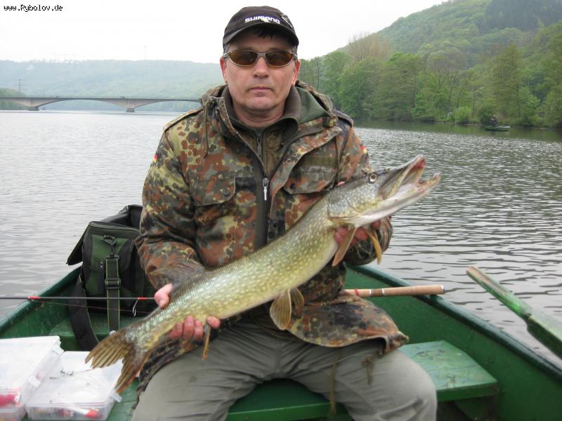 --���� - 83��.!08.05.2010�.Meps "Aglia" - ������� (����������)