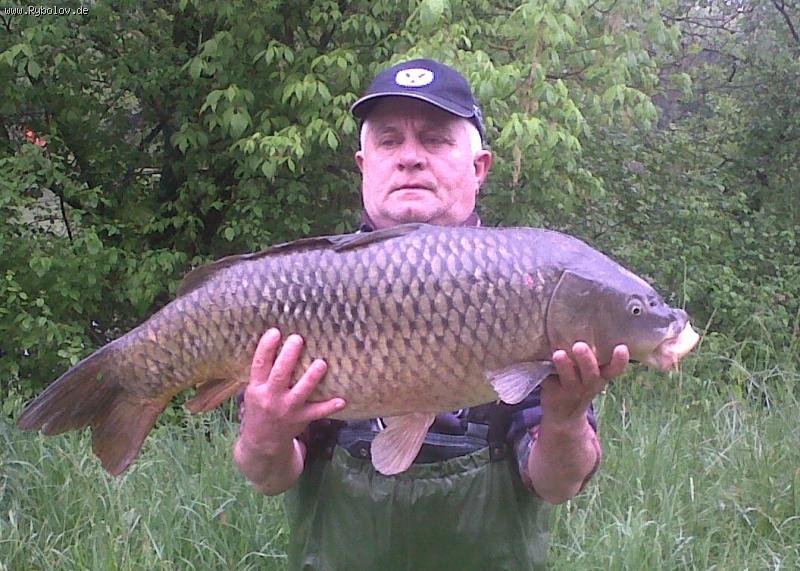 -- 19,8  - 87  -  ()