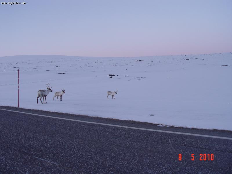 -- ������� �� ������ , �������� ���� ����� ..... - ������� (����������)