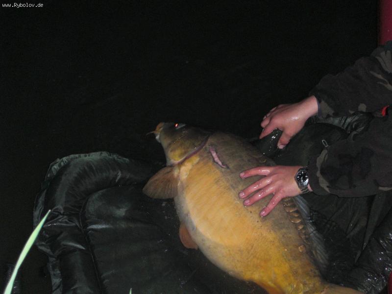 --18.600�� !!! ��� ��� ������ ������� �� ����� ���. - ������� (����������)