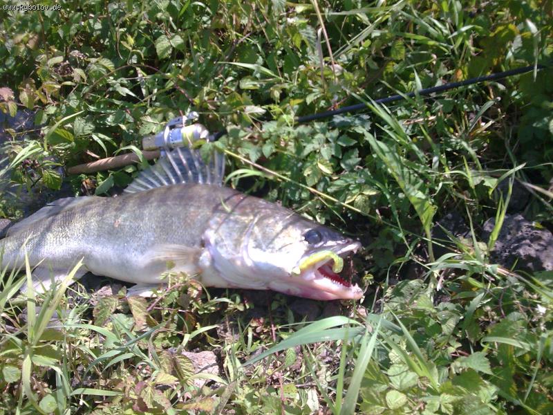 --��� ����� ��������. - ������� (����������)