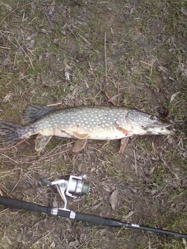 --����� ������� - ������� (����������)