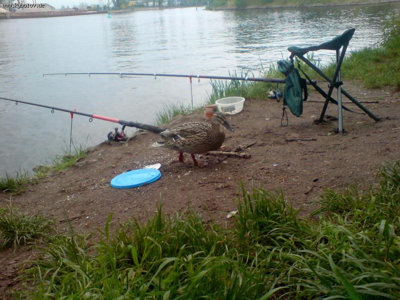 --Рыбнадзор пожаловал - рыбалка (фотоальбом)