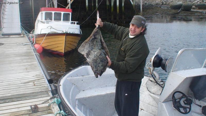 --������ ... - ������� (����������)