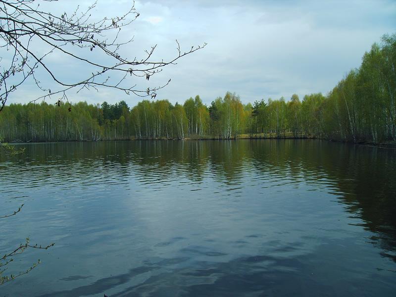 --������ ������ � �. ��������� - ������� (����������)