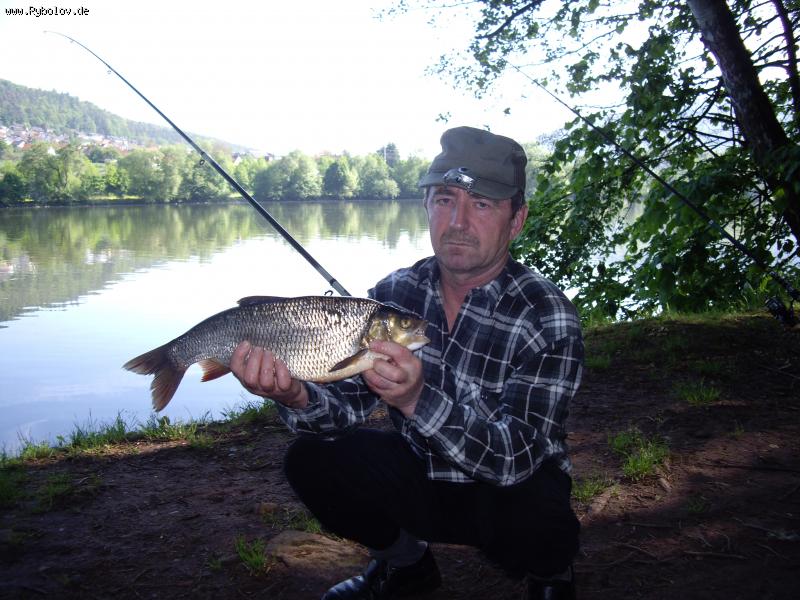 --������� ���� - ������� (����������)