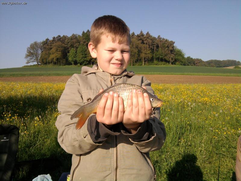 --������ ���� - ������� (����������)