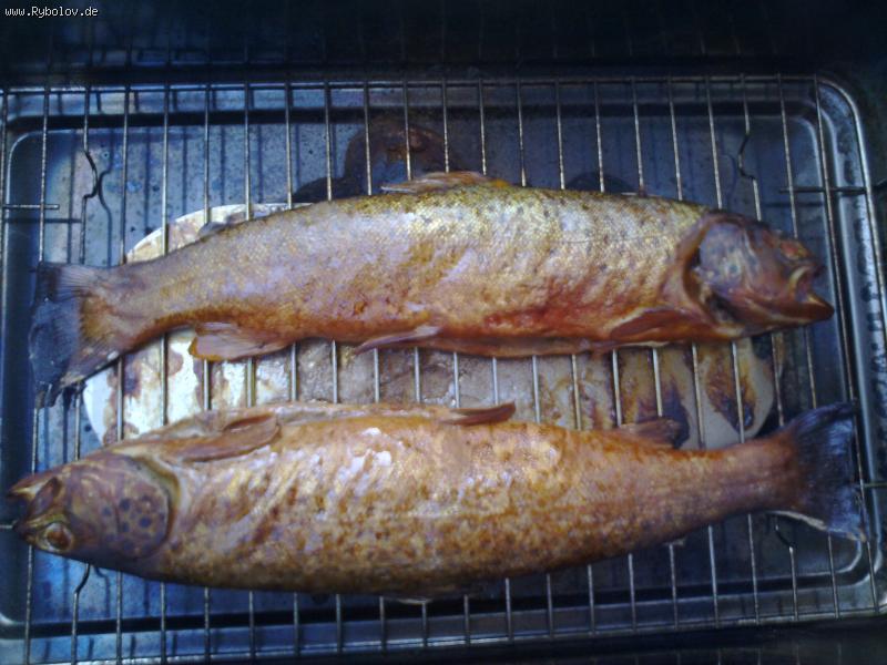 --������ �������� �������� - ������� (����������)