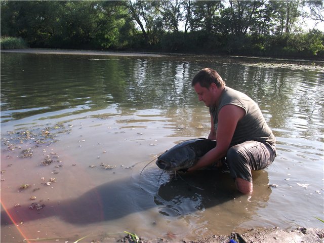 --Poka - ������� (����������)