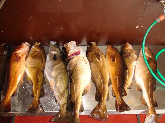 --�������� 2010. - ������� (����������)