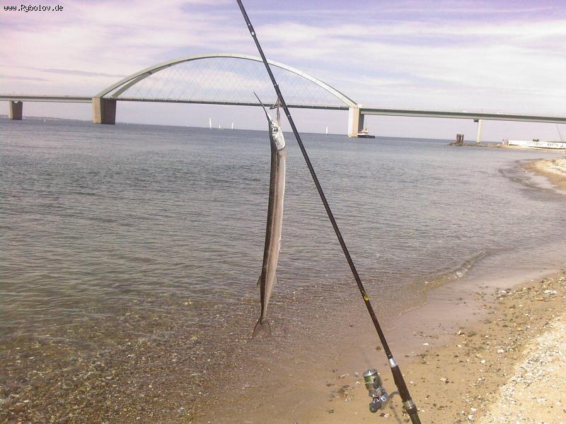 --������ - ������� (����������)