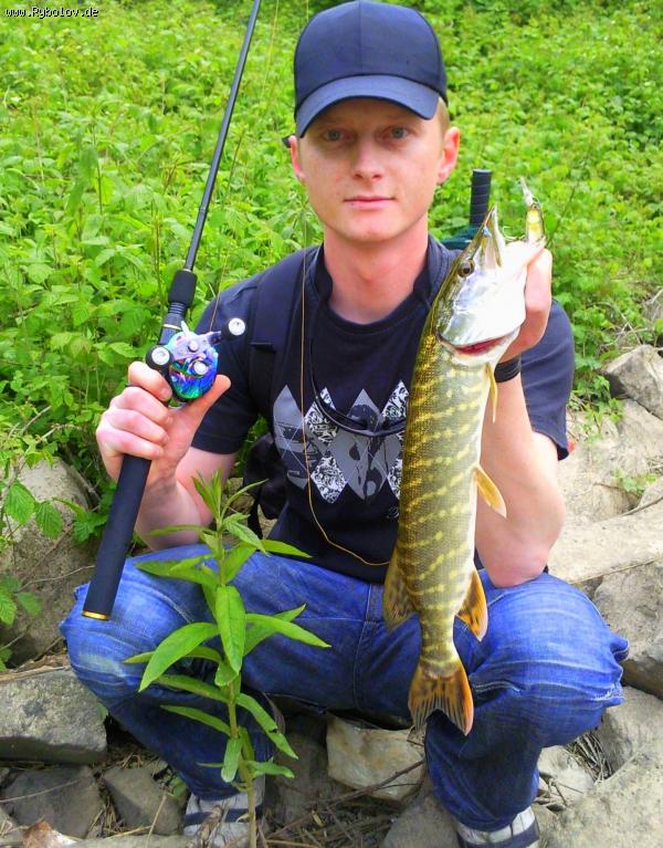 --  ���� - ������� (����������)