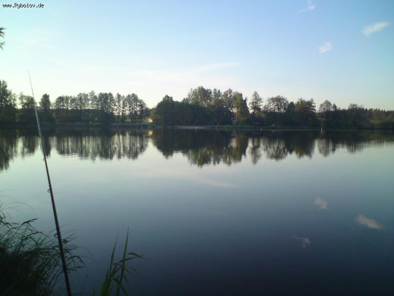 --Wiesenfelden Neuweiher -  ()