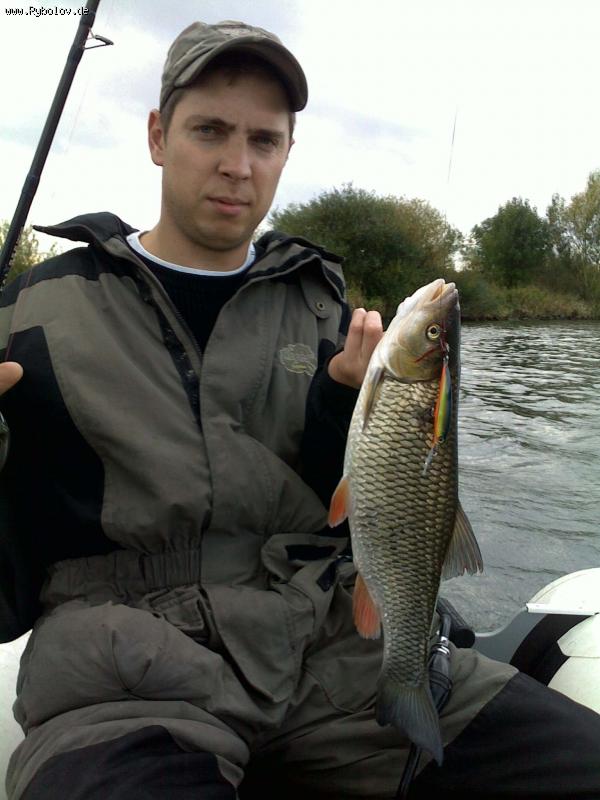 --2010 - ������� (����������)