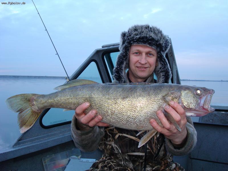 --������ ����� - ������� (����������)