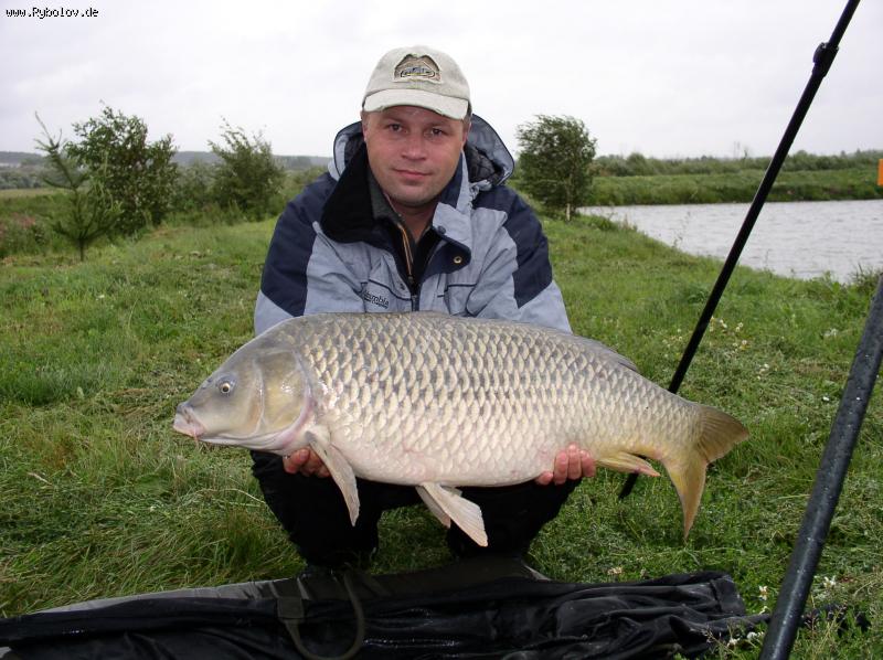 --������� �� 11,5�� - ������� (����������)