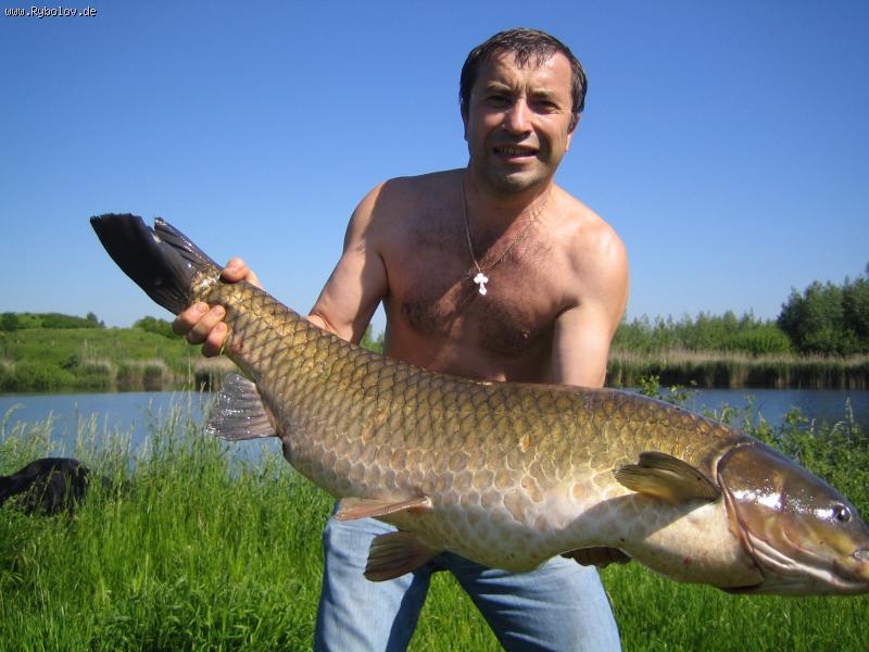 --���� - ������� (����������)