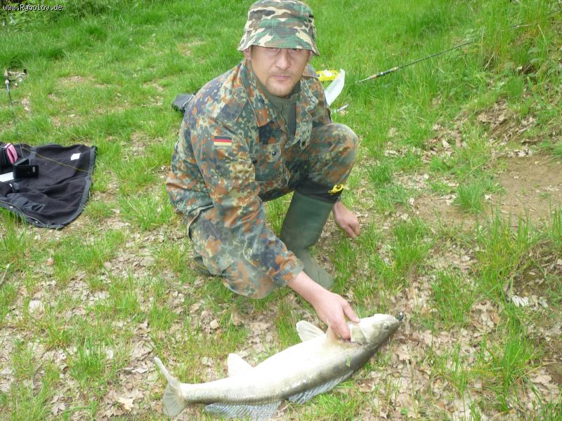 --��� ����� 4,5 �� 80 �� - ������� (����������)