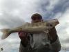 Zander auf T-Rig - рыбалка (фотоальбом)