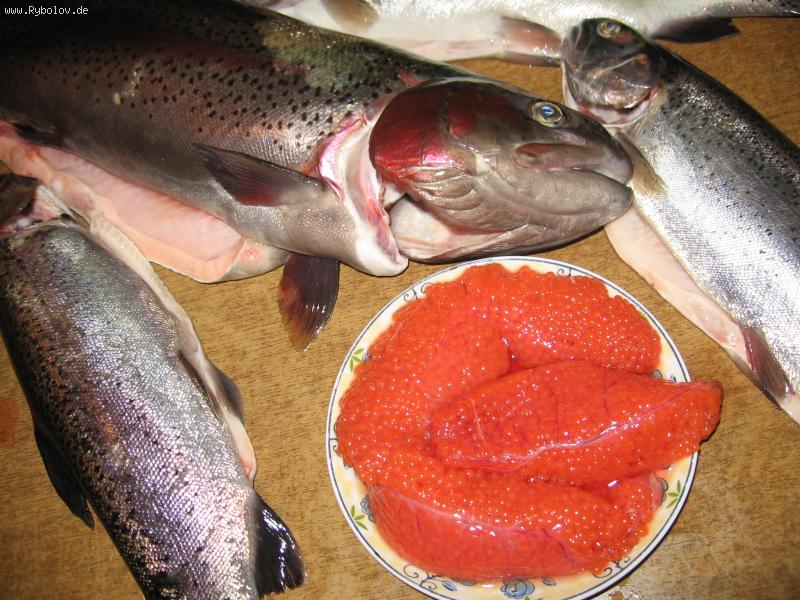 --������� "������������"!  Lecker ! - ������� (����������)