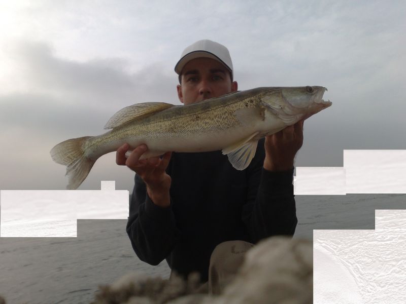 --����� 111 - ������� (����������)