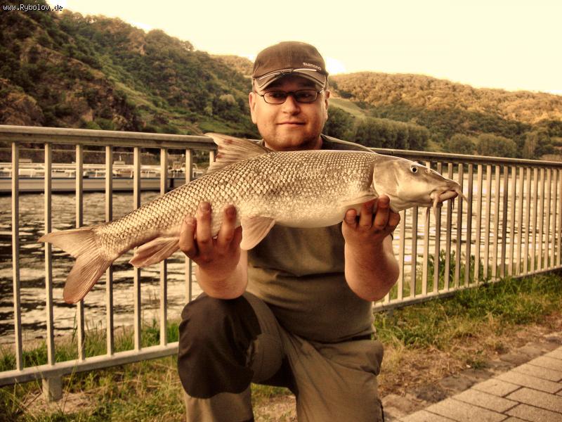 --SILVER OF RHEIN - рыбалка (фотоальбом)