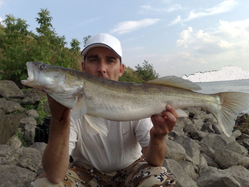 --Sommer Zander 70+ - ������� (����������)