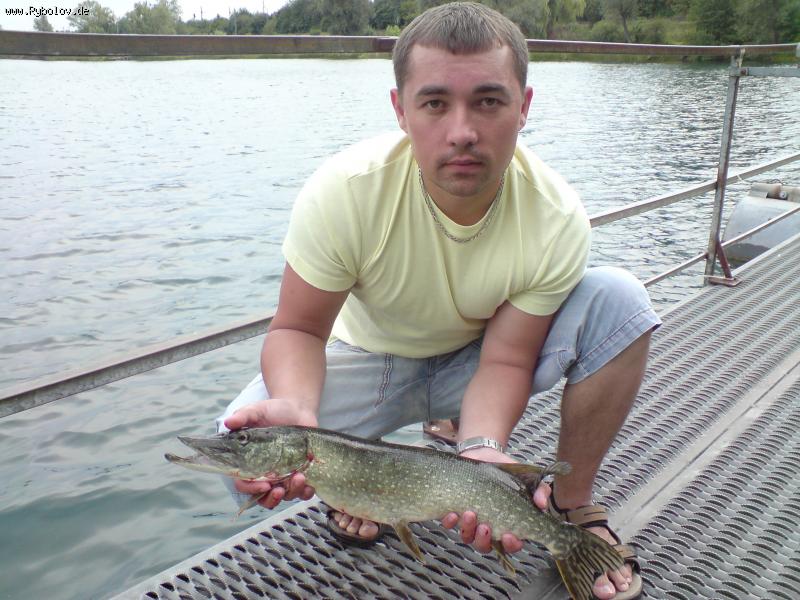 --,,Edesheimsee Juli-2010,, -  ()