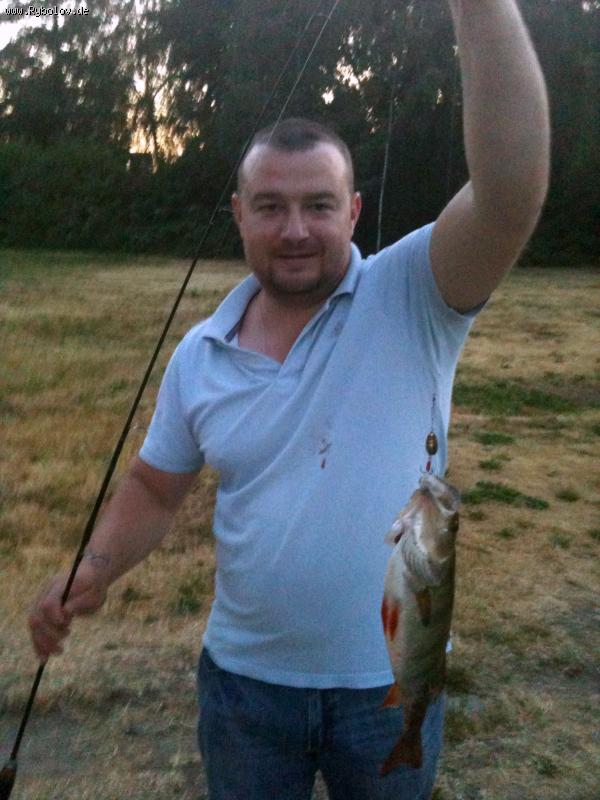 --Barsch - ������� (����������)