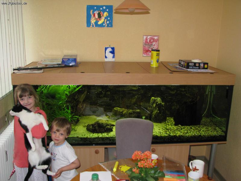 --�������� 960 �. - ������� (����������)