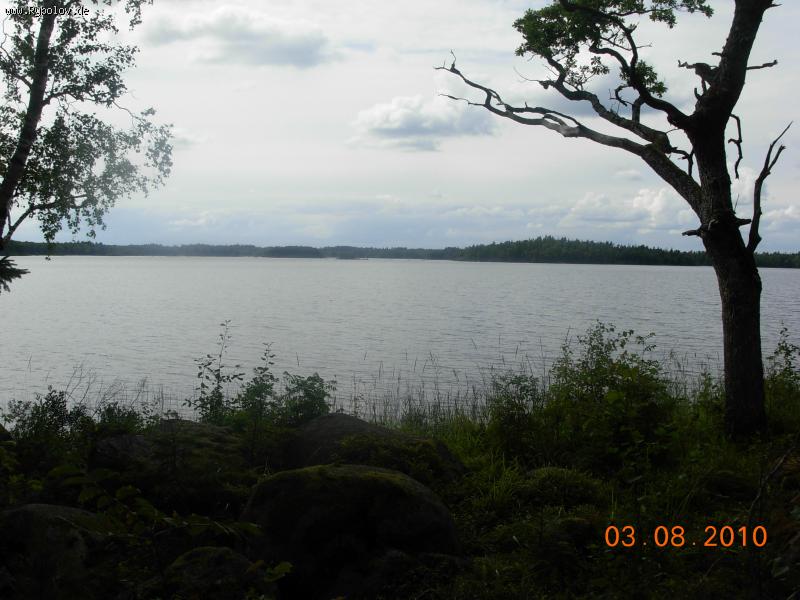 --��� �� ����� - ������� (����������)