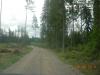 Лес - рыбалка (фотоальбом)