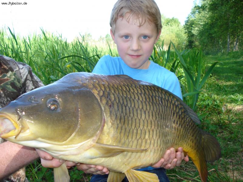 --�������� �����! - ������� (����������)