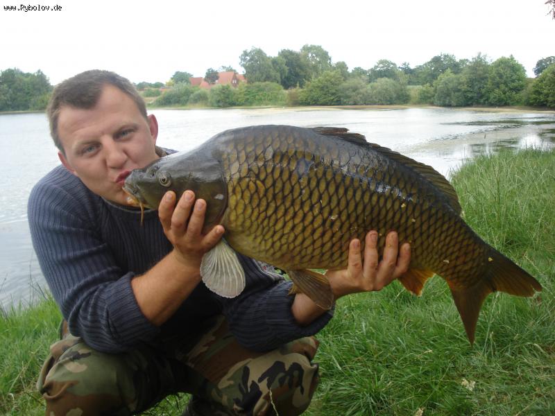 --� ����� 12�� �� ��������! - ������� (����������)