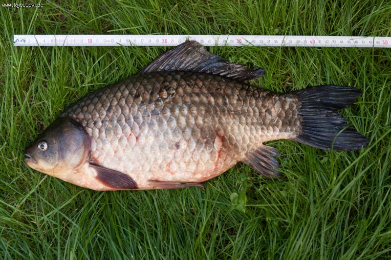 --������ 1,880 - ������� (����������)