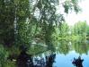 "Митинский" торфяной карьер - рыбалка (фотоальбом)