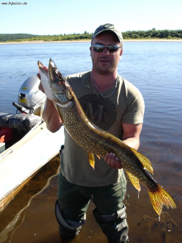 --����� �� ���� - ������� (����������)