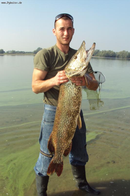 --������ �����, ���� 1,14��  14�� - ������� (����������)