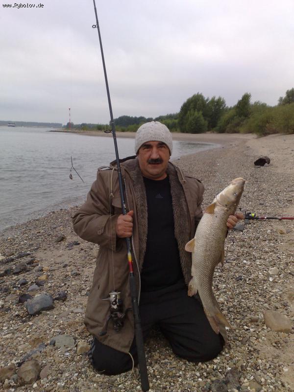 --������ ����! ���� - ������� (����������)