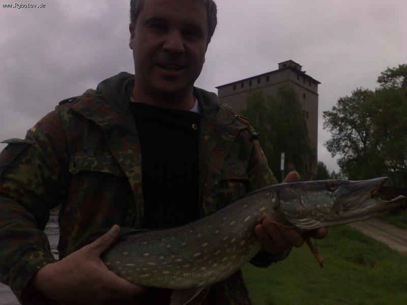 --�����,���������� - ������� (����������)