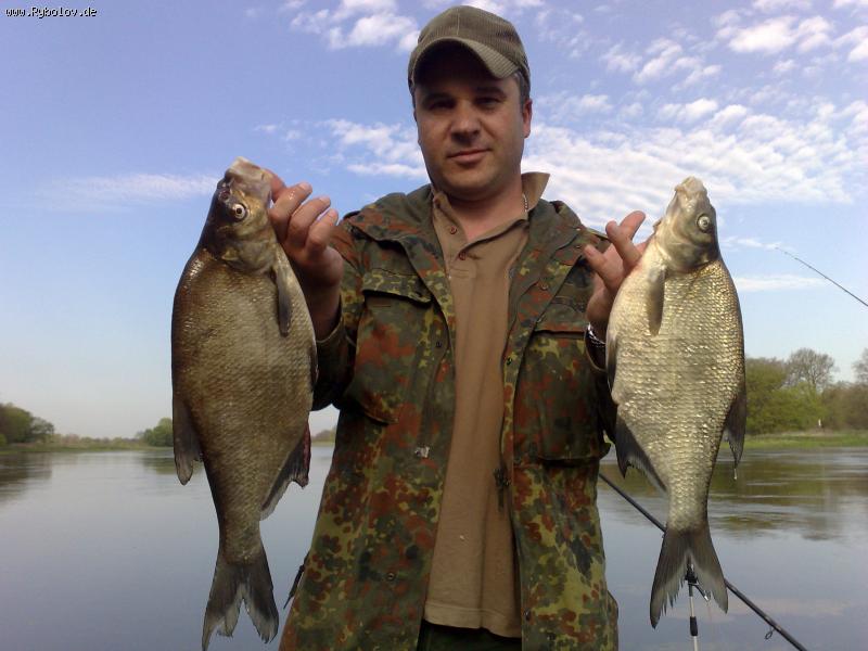 --�����,����� � �������� � ������ - ������� (����������)