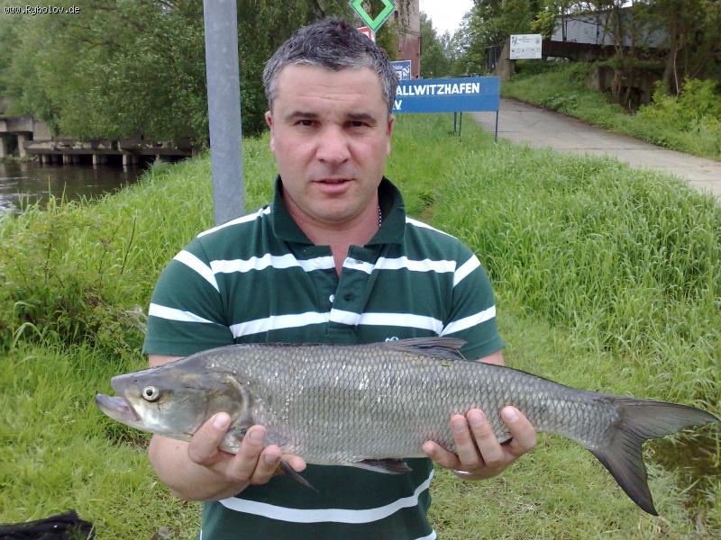 --�����,���������� 18 ��. - ������� (����������)