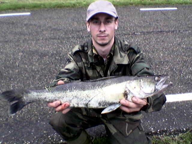 --������ - ������� (����������)