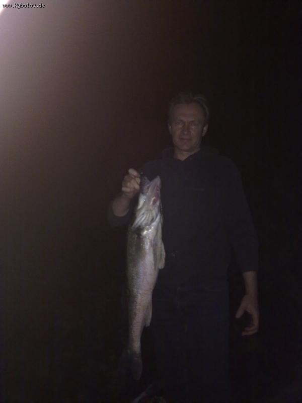 --elbe - ������� (����������)