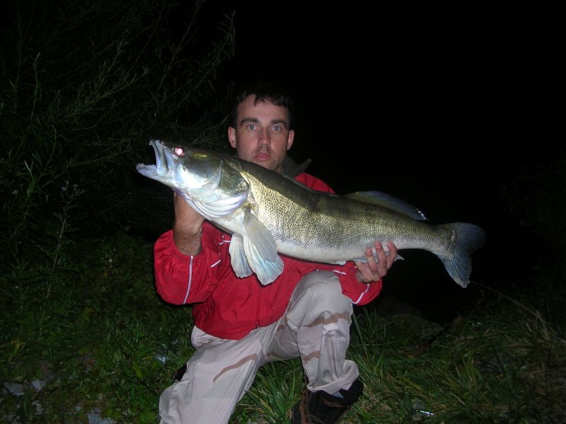 --Holland August 2010 - ������� (����������)