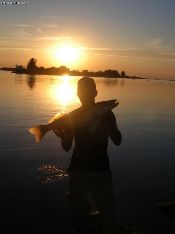 --Holland August 2010 -  ()